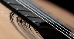 Rosette of a 1931 Hauser guitar